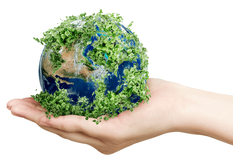 Sustainable / Earth Friendly Sustainable / Earth Friendly